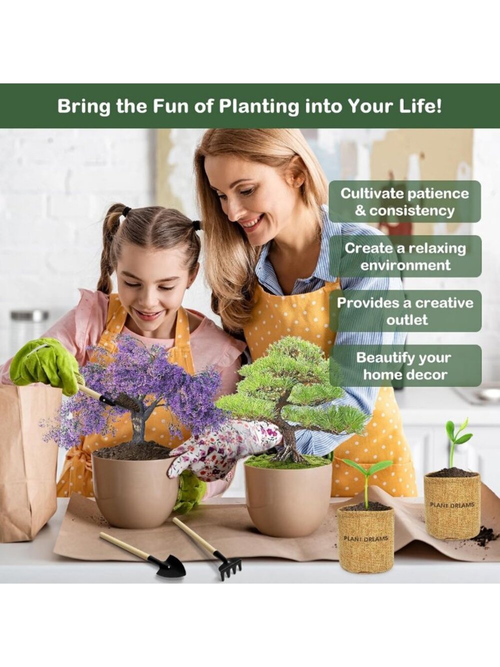 Complete Bonsai Tree Growing Kit - Perfect Gardening Gift for Plant Lovers - Picture 6 of 8